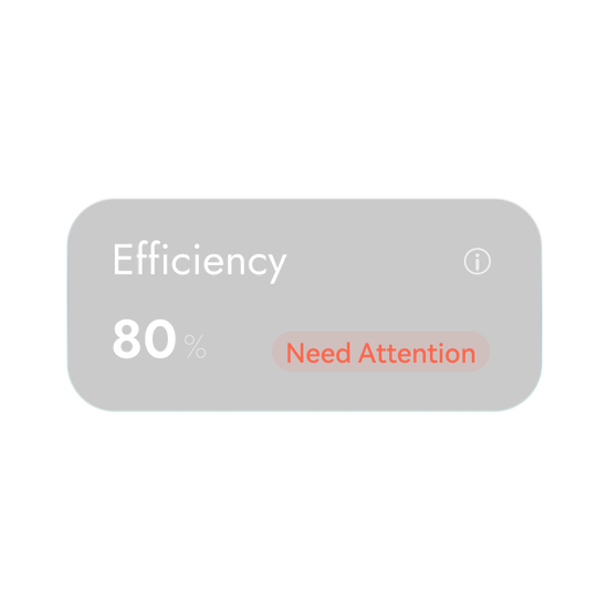 Sleep Efficiency